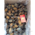 Best Price IQF Frozen Abalone with shell